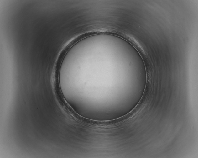 X0000111850532200907231101