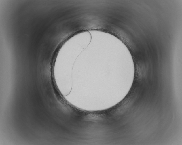 X0000111850534200907231101