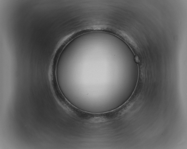 X0000111850536200907231101