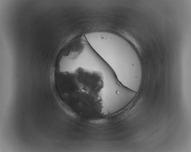 X0000111850537200907231101