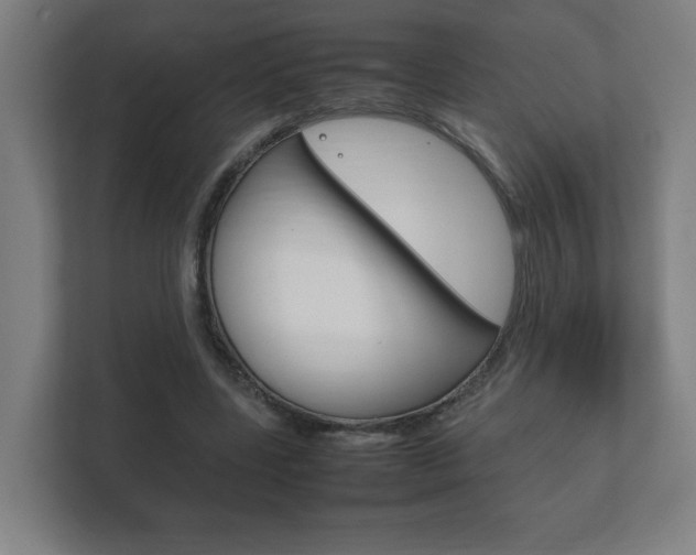 X0000111850539200907231101