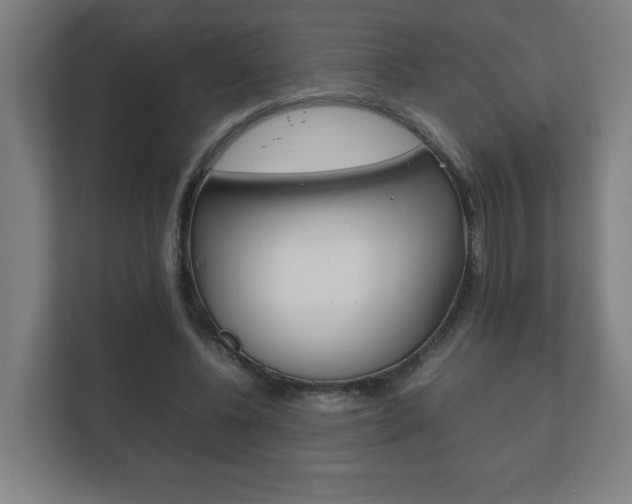 X0000111850540200907231101
