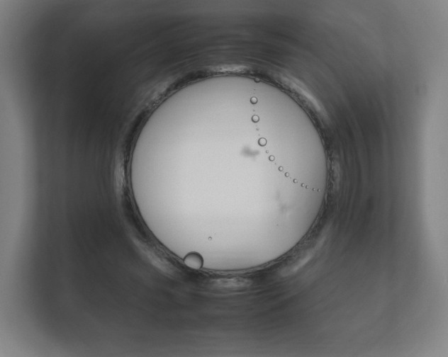 X0000111850541200907231101
