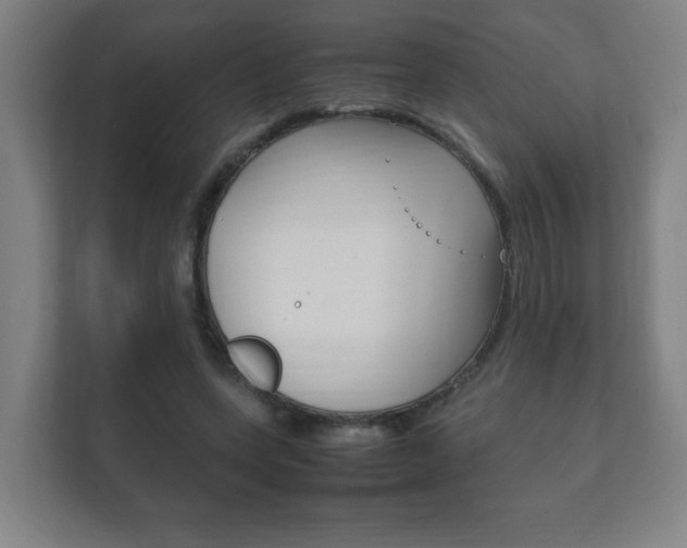 X0000111850543200907231101