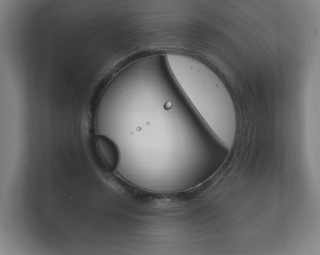 X0000111850544200907231101