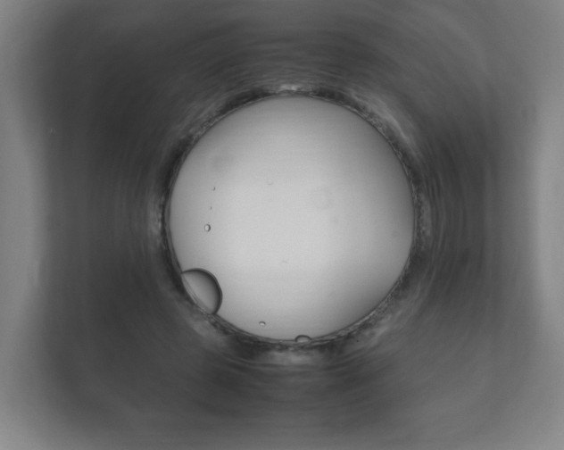 X0000111850545200907231101