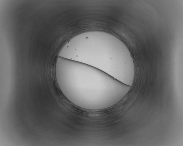 X0000111850547200907231101