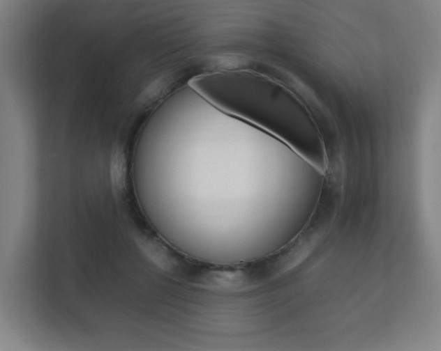 X0000111850552200907231101
