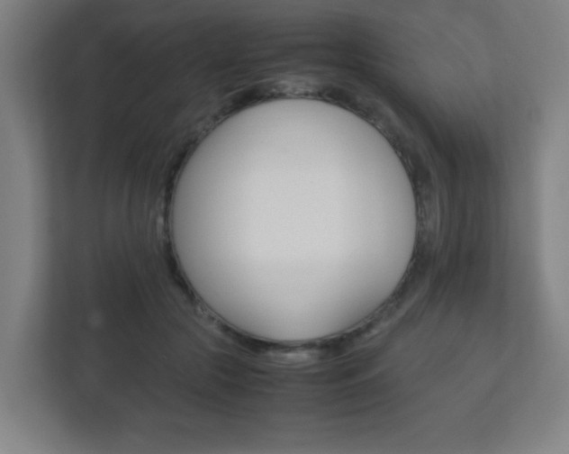 X0000111850553200907231101