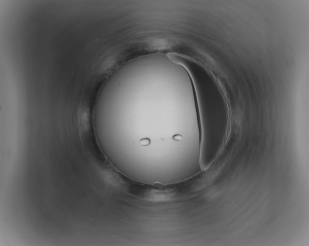 X0000111850556200907231102
