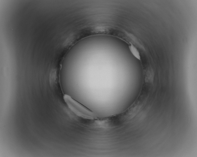 X0000111850560200907231102