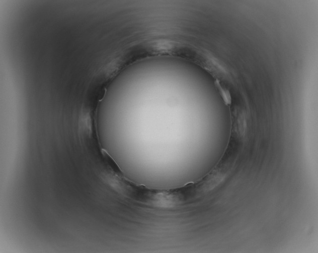 X0000111850562200907231102