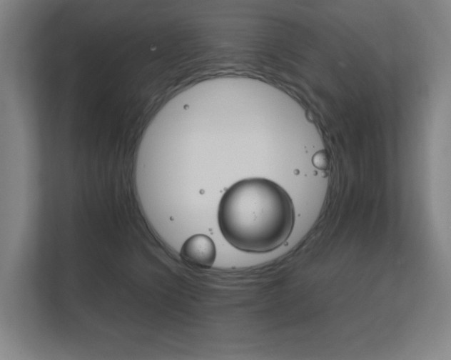 X0000111850564200907231102