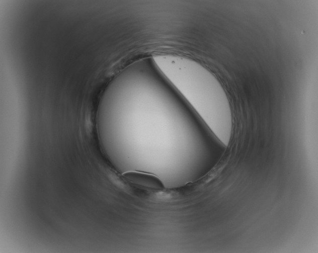 X0000111850566200907231102