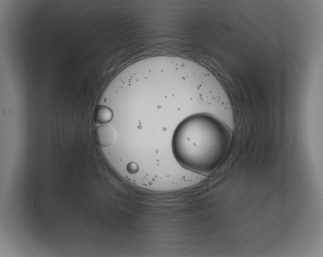 X0000111850568200907231102