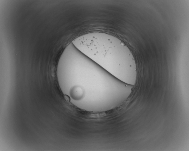 X0000111850571200907231102