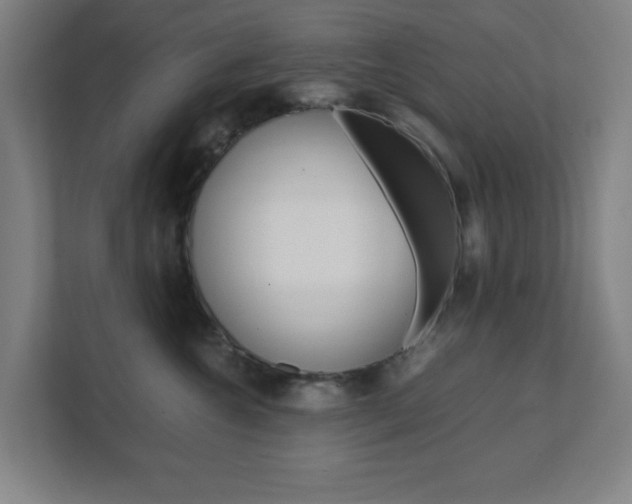 X0000111850572200907231102
