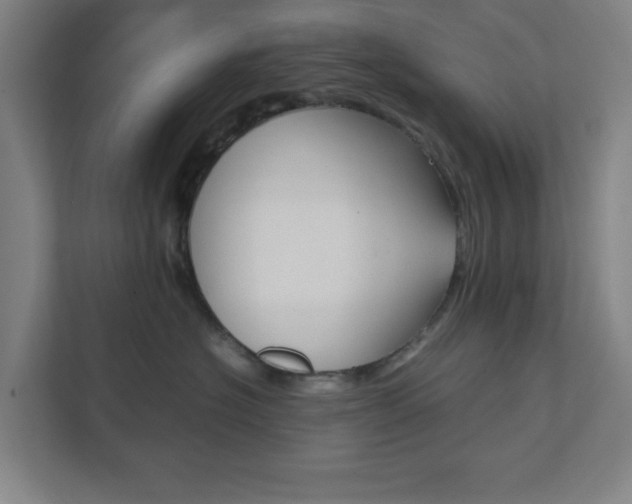 X0000111850574200907231102