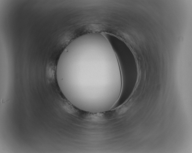 X0000111850576200907231102