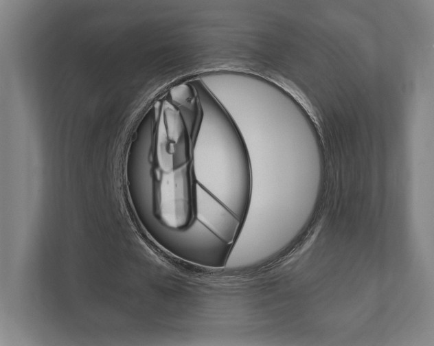 X0000111850577200907231101