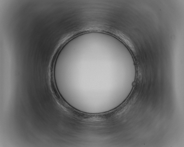 X0000111850578200907231101