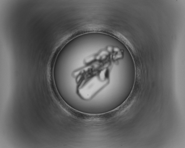 X0000111850581200907231101