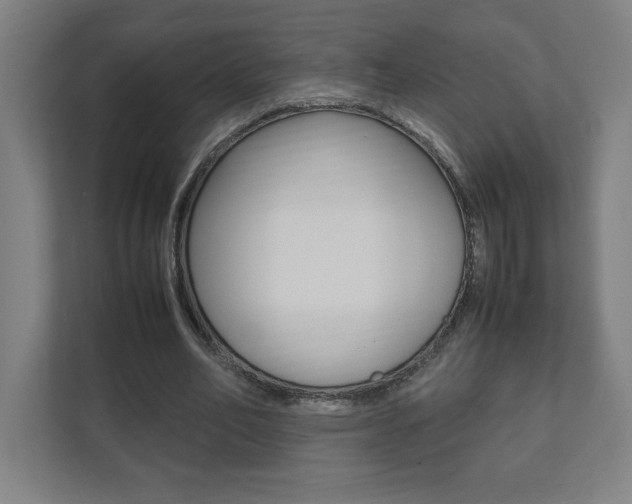 X0000111850582200907231101