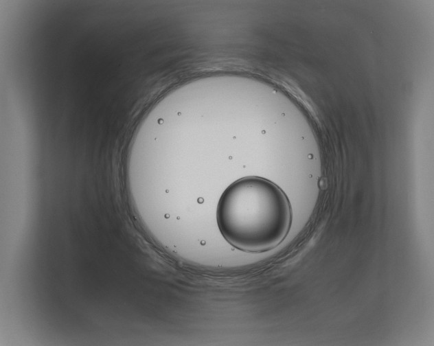 X0000111850585200907231101