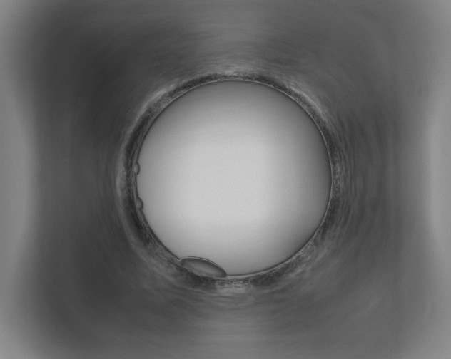 X0000111850587200907231101