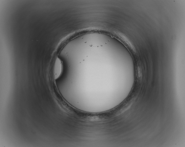 X0000111850588200907231101