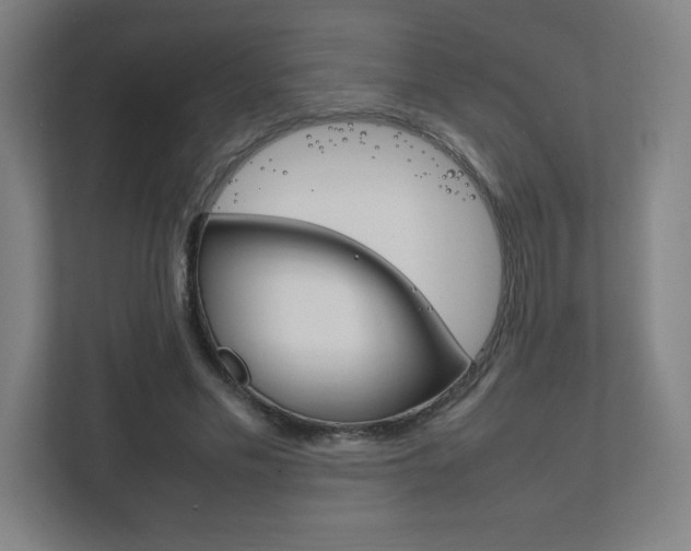 X0000111850589200907231101
