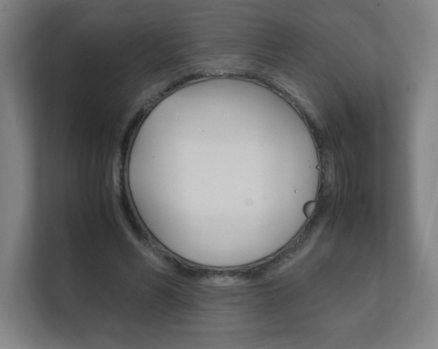 X0000111850590200907231101