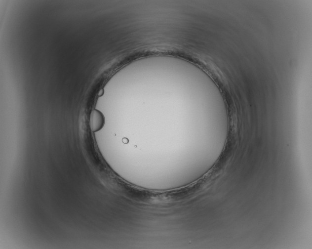 X0000111850591200907231101