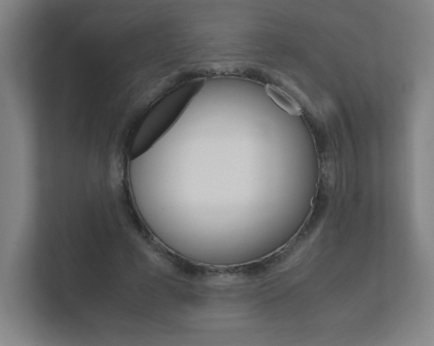 X0000111850593200907231101