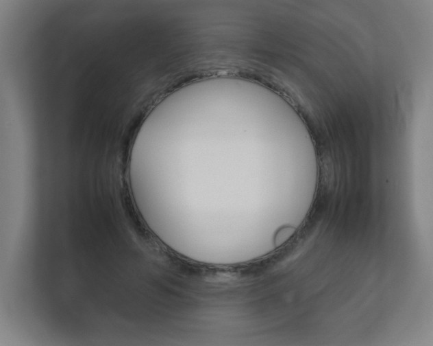 X0000111850594200907231101