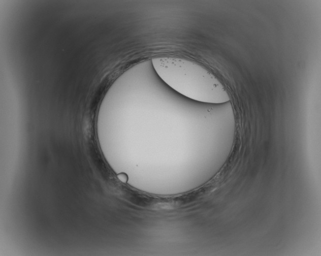 X0000111850595200907231101