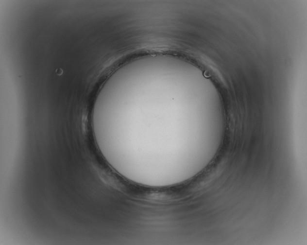 X0000111850596200907231101