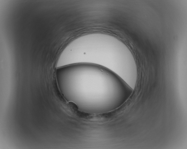 X0000111850601200907231101