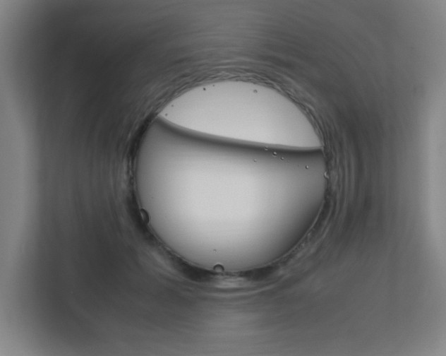 X0000111850605200907231101