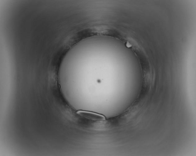 X0000111850609200907231101