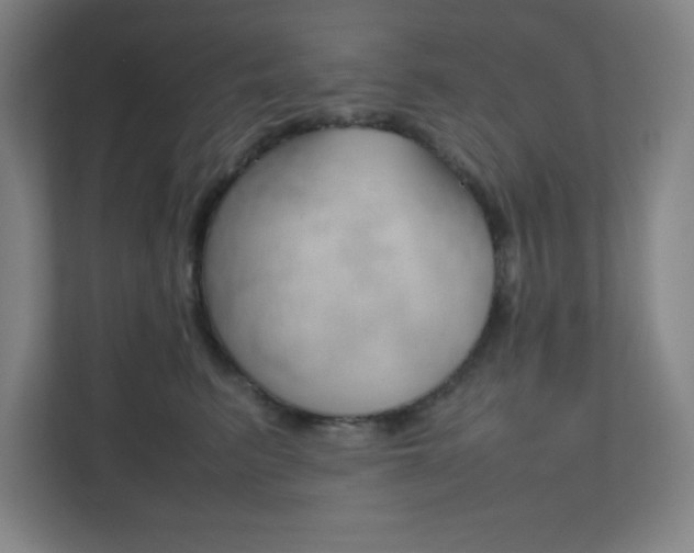 X0000111850615200907231101