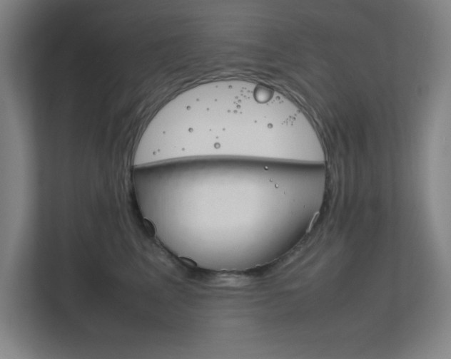 X0000111850617200907231101