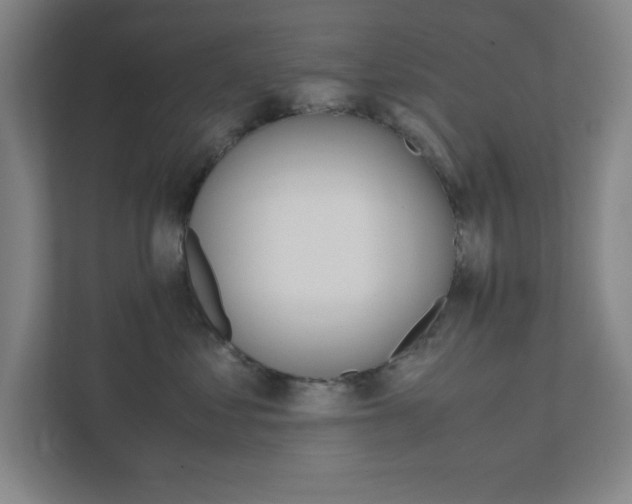 X0000111850621200907231101