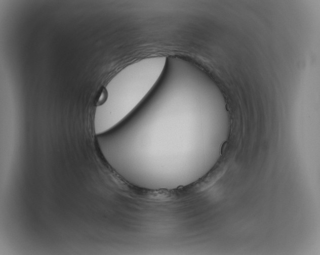 X0000111850624200907231101