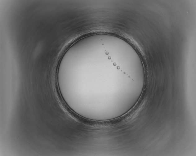 X0000111850625200907231100