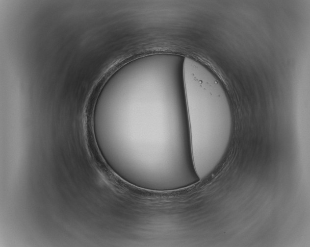 X0000111850626200907231100