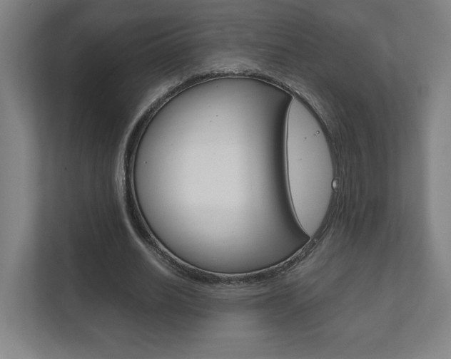 X0000111850630200907231100