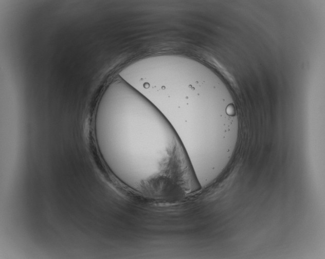 X0000111850637200907231100