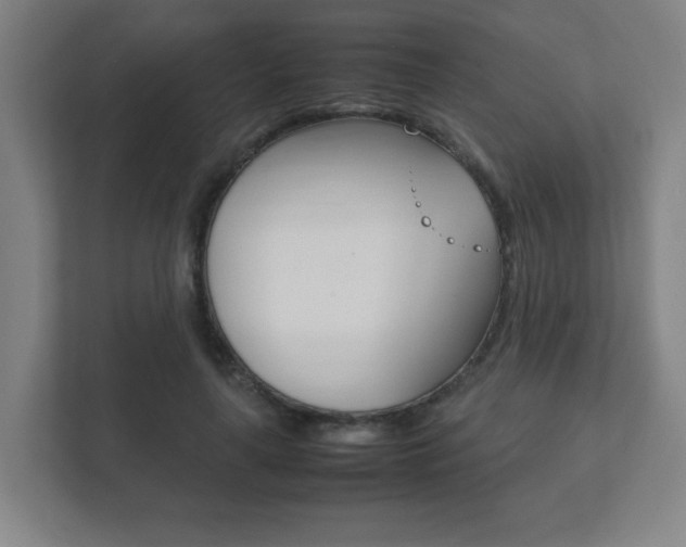 X0000111850643200907231100