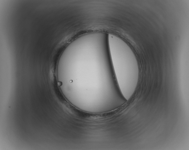 X0000111850644200907231100